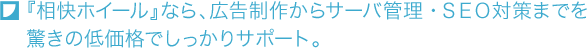 �w�����z�C�[���x�Ȃ�A�L�����삩��T�[�o�Ǘ��E�r�d�n�΍�܂ł������̒ቿ�i�ł�������T�|�[�g�B